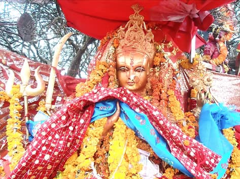 Pathibhara Temple & Ilam Tour