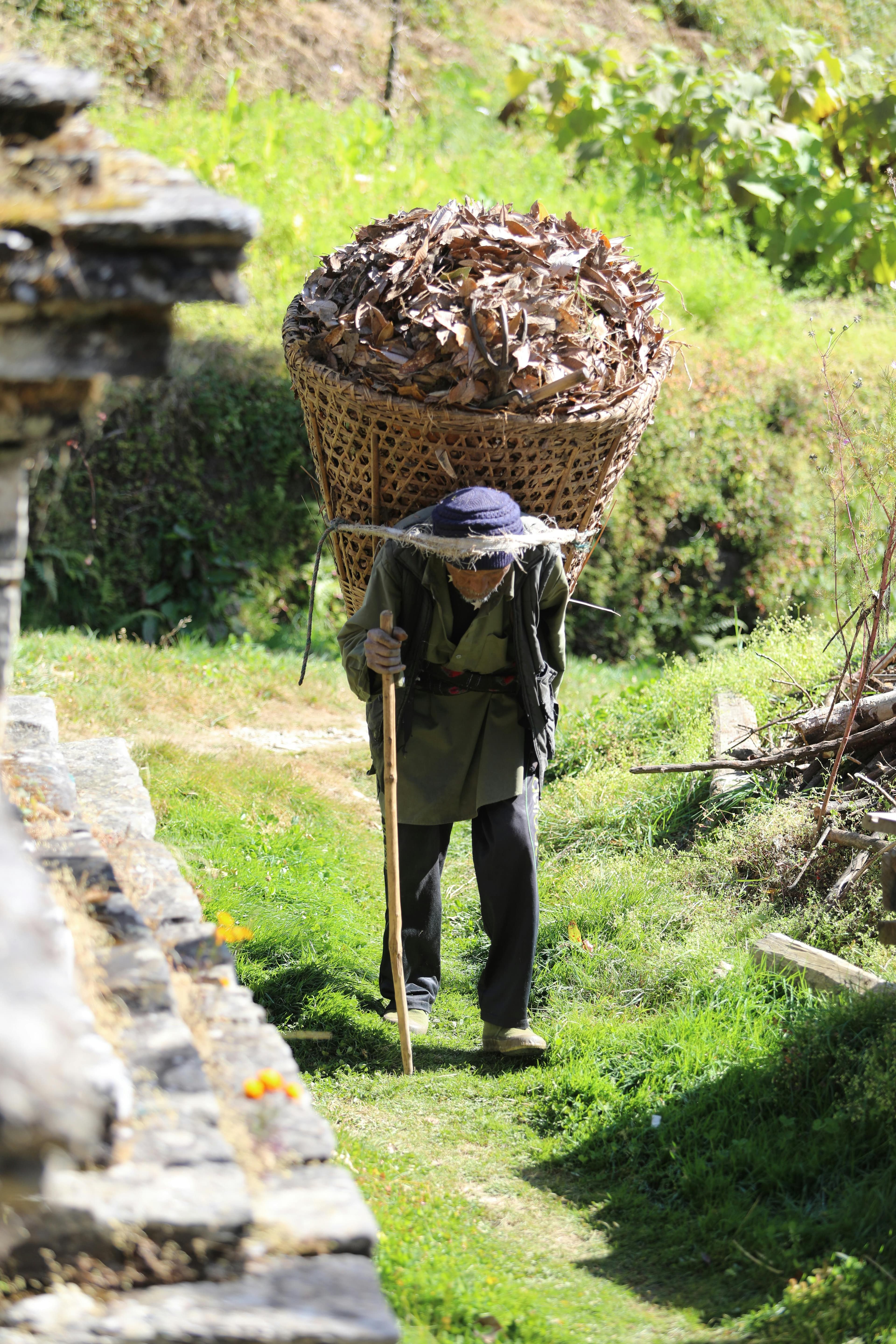 Hiring a Trekking Guide in Nepal: Everything You Need to Know