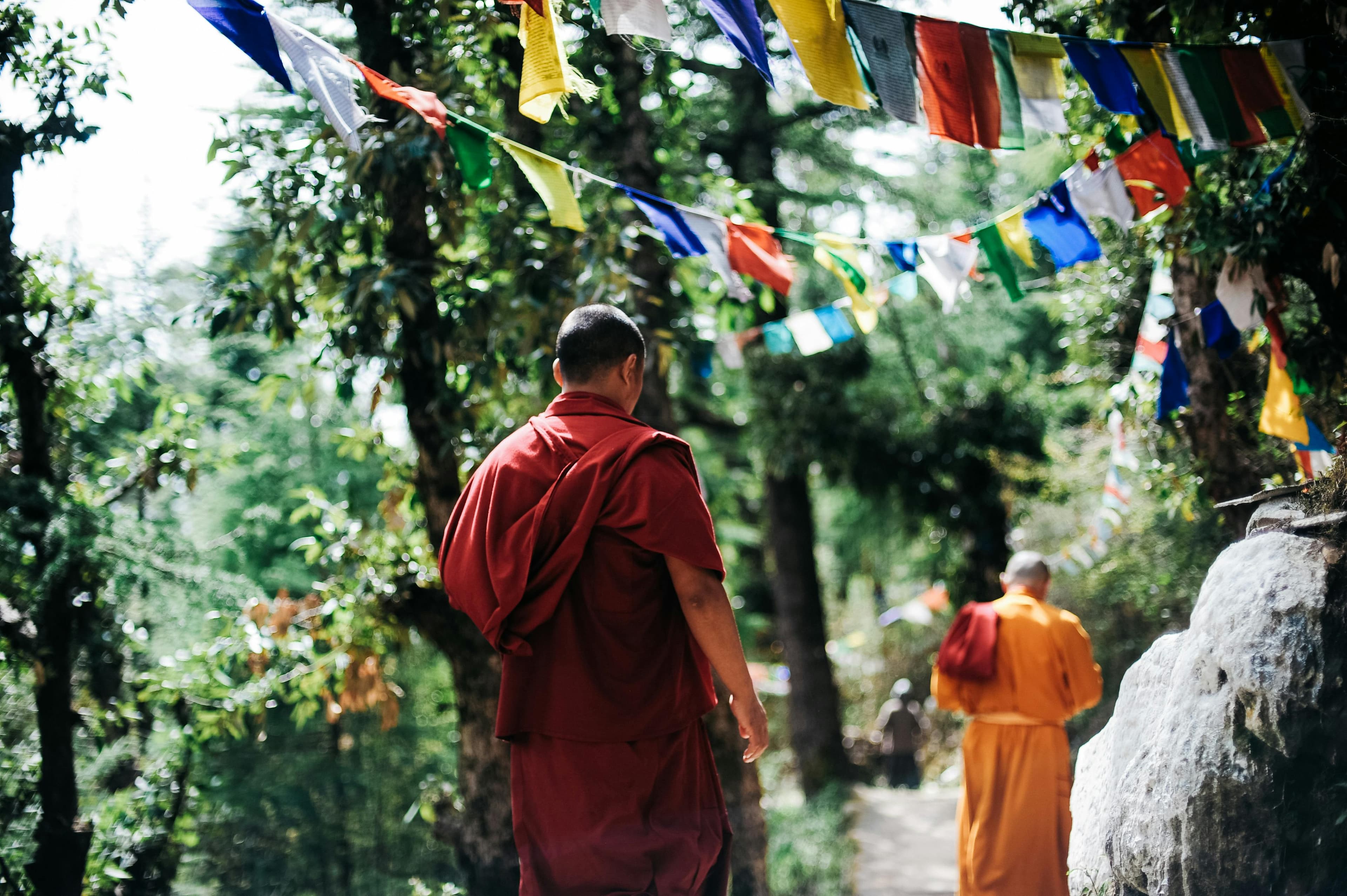 Plant Medicine and Traditional Healing Nepal